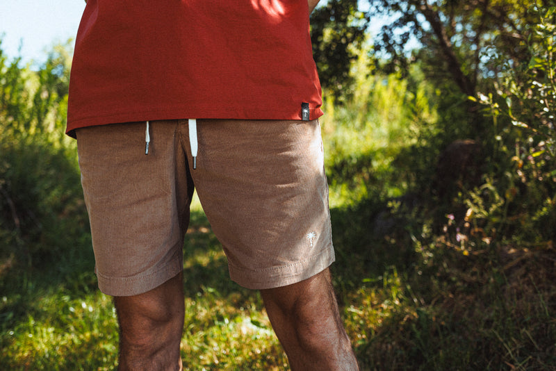 Pants & Shorts